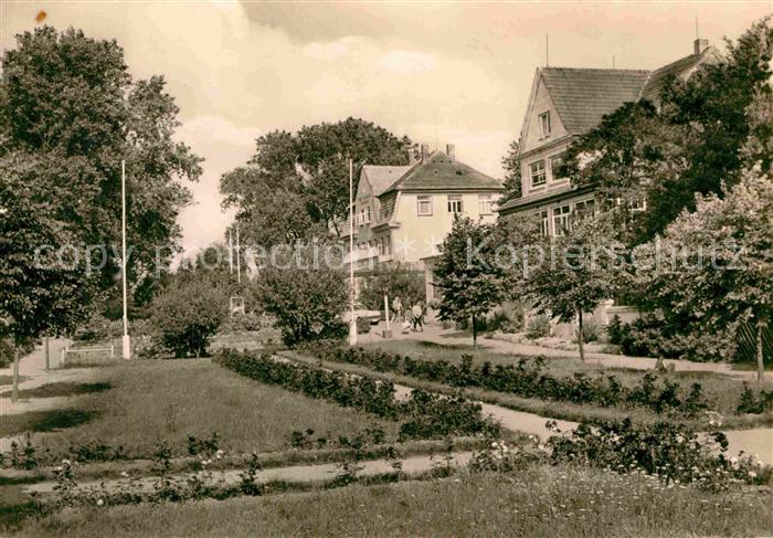 Insel Poel Schwarzer Busch