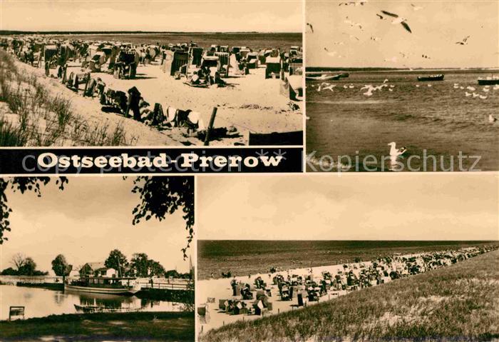 Prerow Ostseebad Strand Moewen Hafen