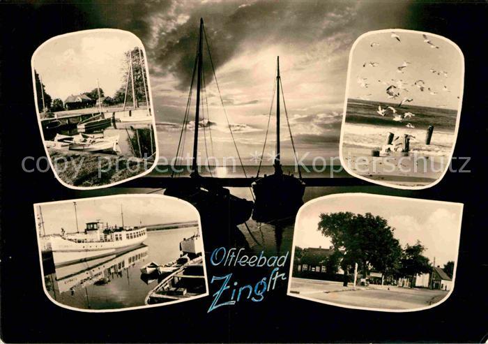 Zingst Ostseebad Hafen Ausflugsdampfer Strand Moewen