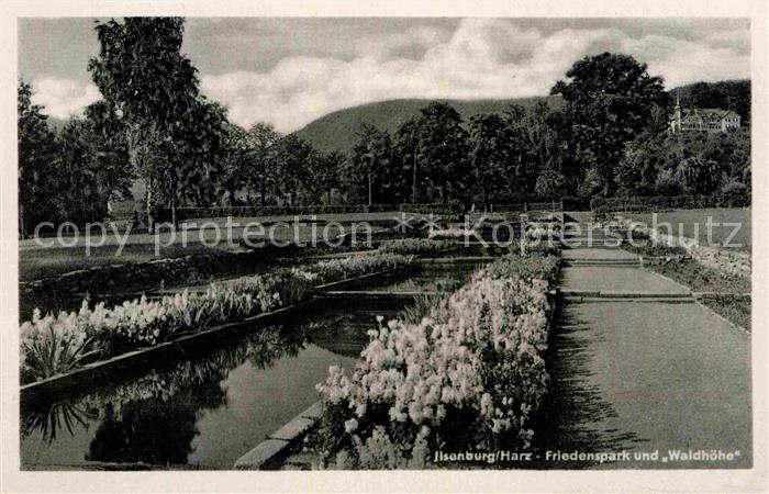 Ilsenburg Harz Friedenspark und Waldhoehe