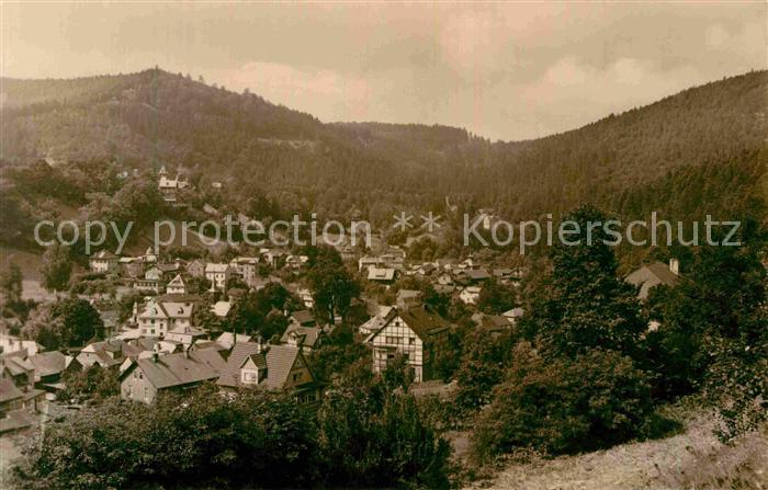 Schwarzburg Thueringer Wald Panorama