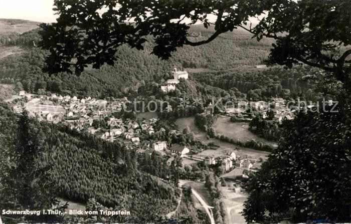 Schwarzburg Thueringer Wald Panorama Blick vom Trippstein