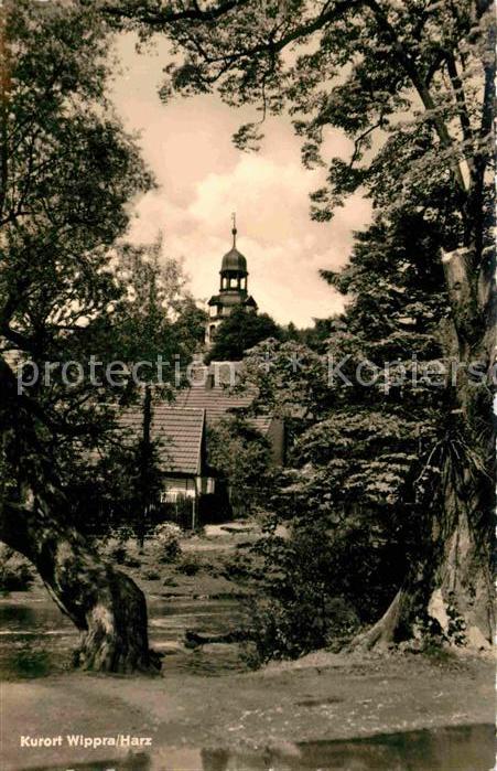 Wippra Partie am Fluss Kurort