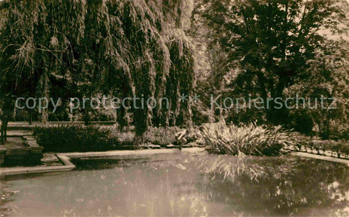 Bad Frankenhausen Botanischer Garten