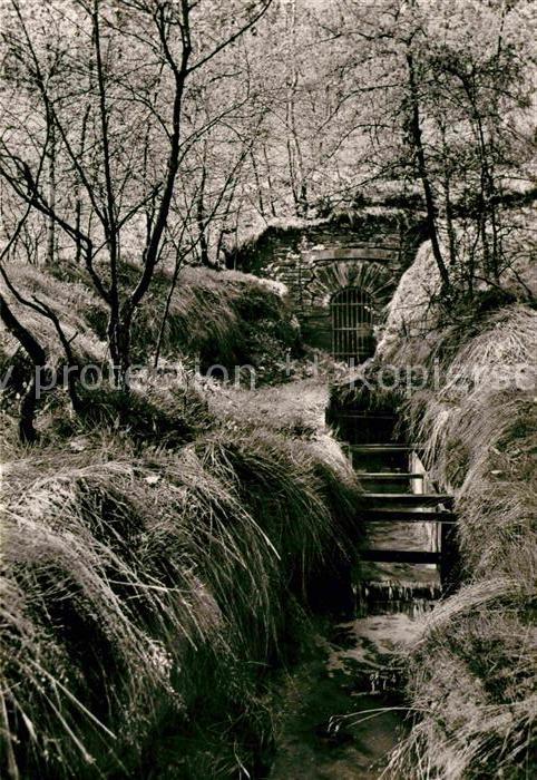 Freiberg Sachsen Mundloch des Vertraeglichen Gesellschaftsstolln