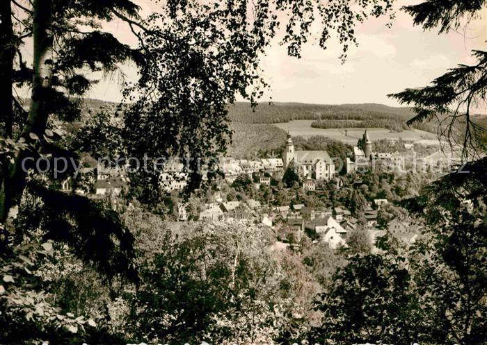 Schwarzenberg Erzgebirge Panorama Blick vom Waldrand aus