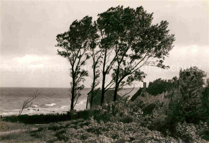 Ahrenshoop Ostseebad Haeuser am Meer