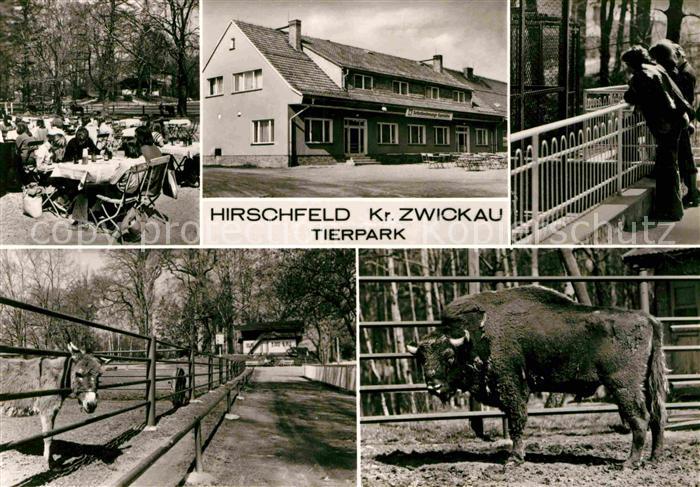 Hirschfeld Zwickau Gaststaette Terrasse Tierpark Esel Bison