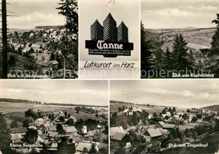 Tanne Harz Panorama Kleine Bergstrasse