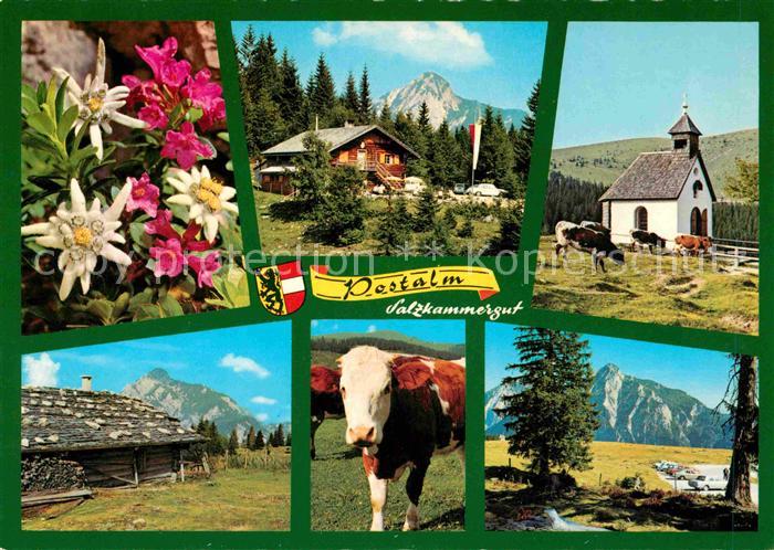 Strobl Postalm Bergrestaurant Alpenflora Kuh Kapelle Alpen