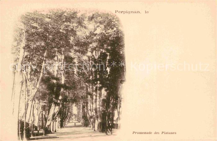 Perpignan Promenade des Platanes