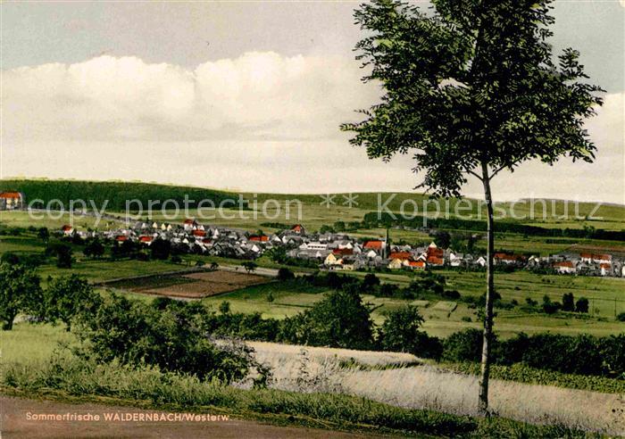 Waldernbach Panorama