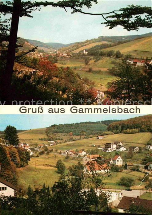 Gammelsbach Panorama