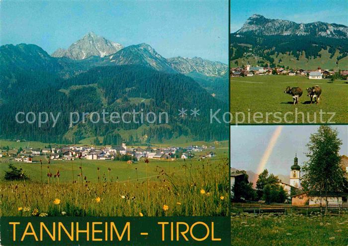 Tannheim Tirol Gesamtansicht mit Alpenpanorama Kuehe Kirche Regenbogen