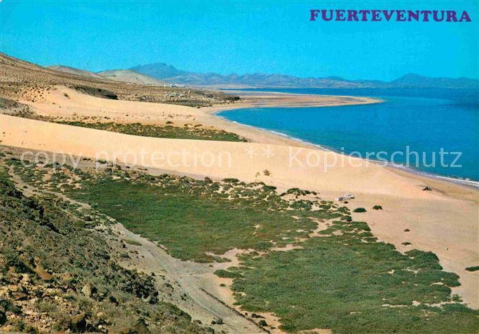 Fuerteventura Panorama Kueste Duenen