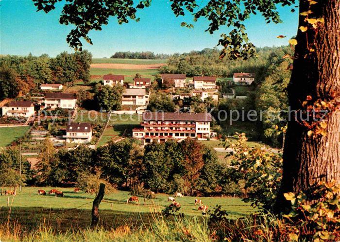 Hoechst Odenwald Waldhotel Forellenhof