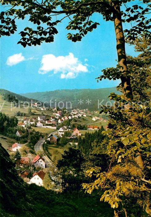 Warmensteinach Blick vom Hoellfelsen