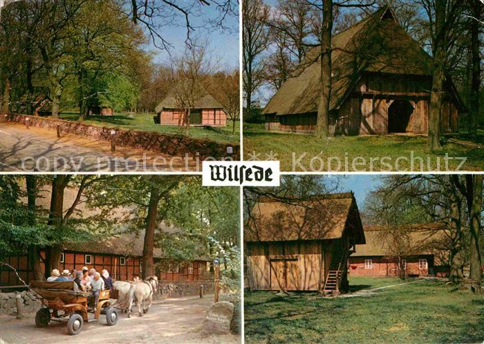 Wilsede Lueneburger Heide Heidehaeuser Pferdewagen