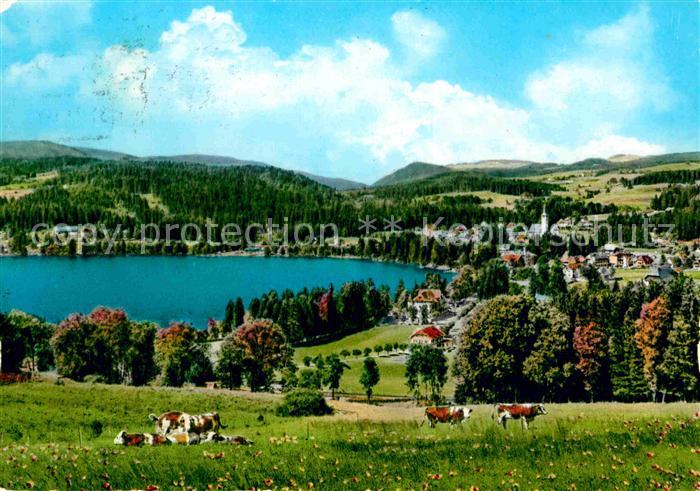 TITISEE Schwarzwald BW Panorama