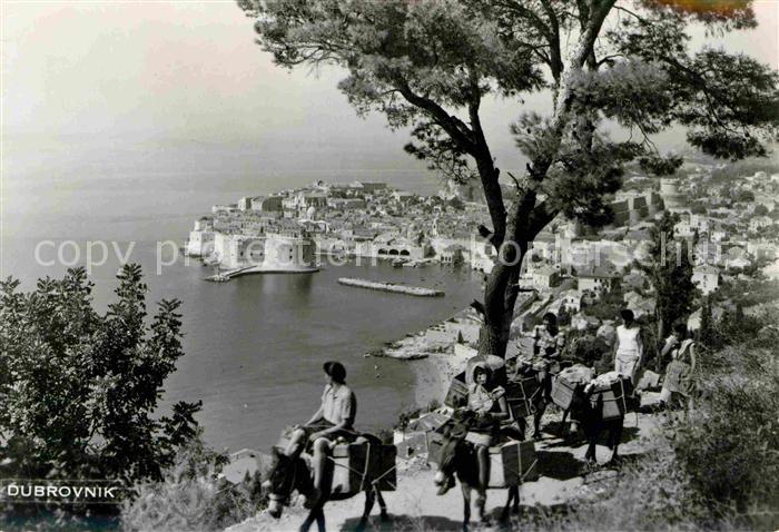 Dubrovnik Ragusa Esel und Hafen