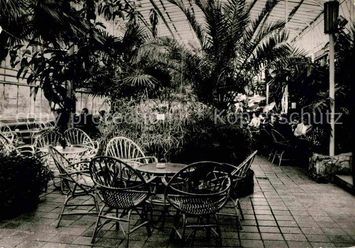 Zielona Gora Palmiarnia