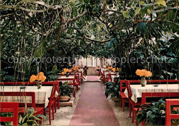 Lorch Wuerttemberg WaldCafe Muckensee