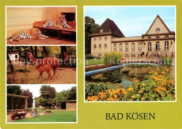Bad Koesen Tierpark Tiger Lama Volkssolbad Badehaus
