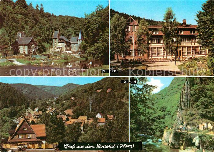 Bodetal Harz Treseburg Erholungsheim-Haus-Wildstein Altenbrak Blick von der Wald
