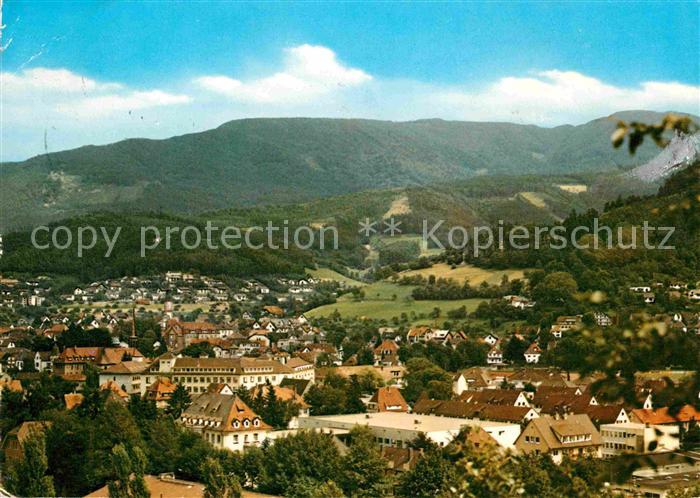 Waldkirch Breisgau Fliegeraufnahme