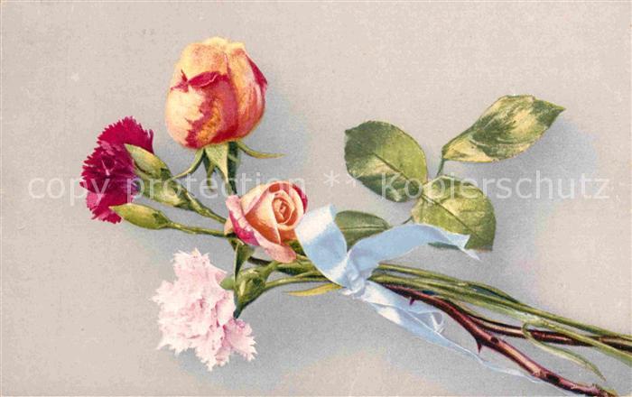 Rosen Nelken