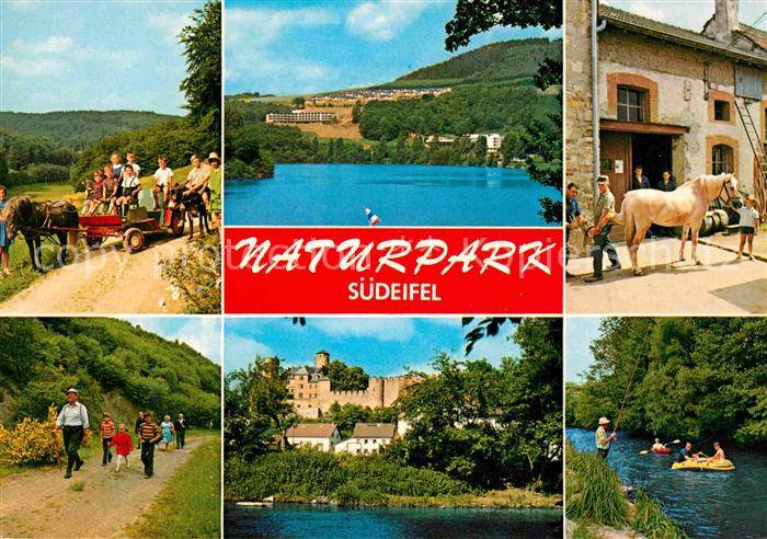 Brimingen Ausfluege im Naturpark Suedeifel Ponywagen Wandern Bootfahren Schloss