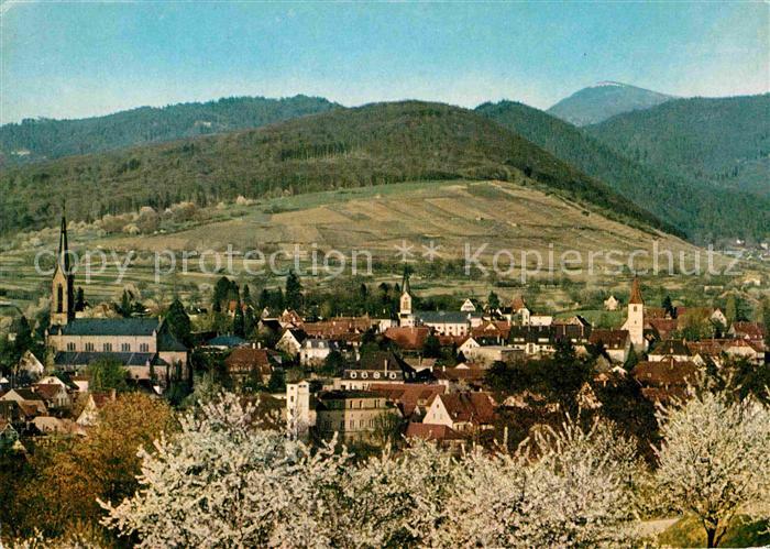 Muellheim Baden Panorama Blick zum Belchen Schwarzwald