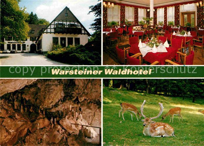 Warstein Warsteiner Waldhotel Restaurant Tropfsteinhoehle Damwild