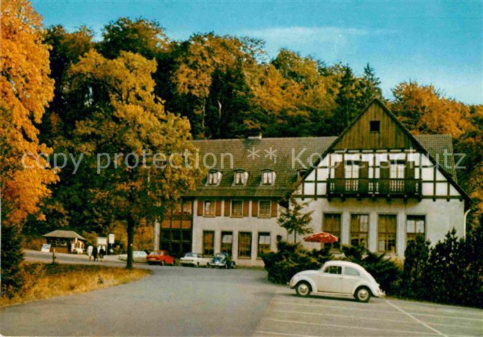 Warstein Waldhotel Tropfsteinhoehle mit Wild Freigehege Herbststimmung