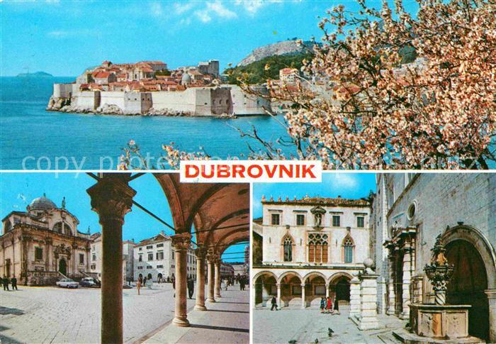 Dubrovnik Ragusa Panorama Altstadt Festung Baumbluete Platz Arkaden