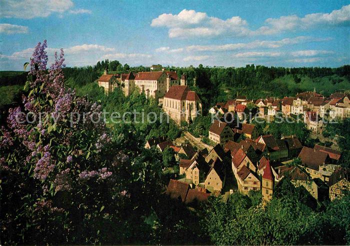 Haigerloch Blick auf Schlosskirche und Schloss Baumbluete