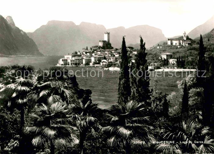 Malcesine Lago di Garda Panorama Gardasee Palmen Alpen
