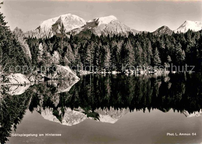 Hintersee Berchtesgaden Goellspiegelung im See Alpenpanorama