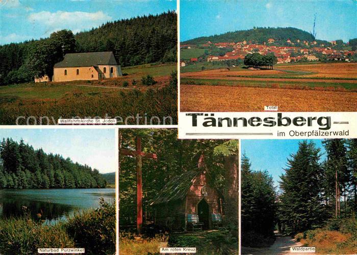 Taennesberg Wallfahrtskirche Naturbad Am roten Kreuz Waldpartie