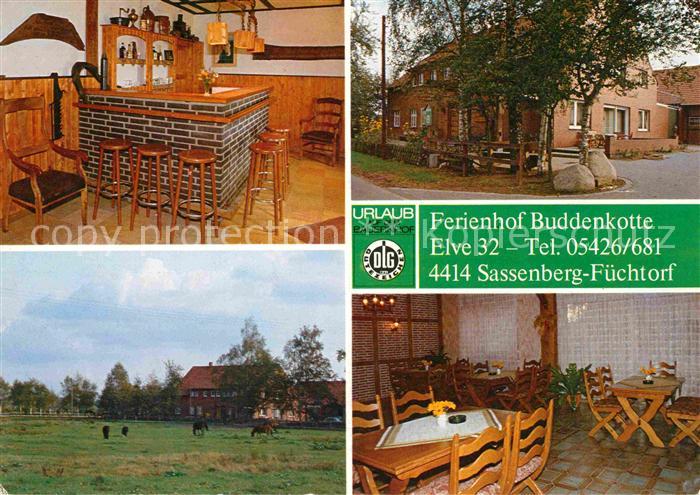 Fuechtorf Ferienhof Buddenkotte Pferde