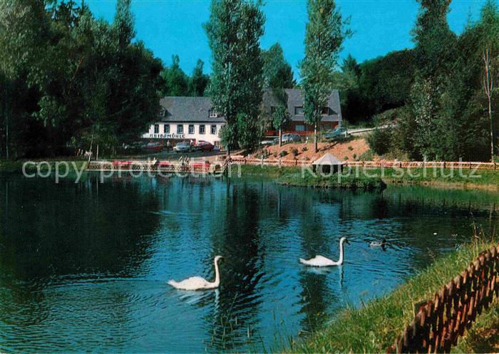 Manderscheid Eifel Hotel Cafe Heidsmuehle Schwanenteich Kurort