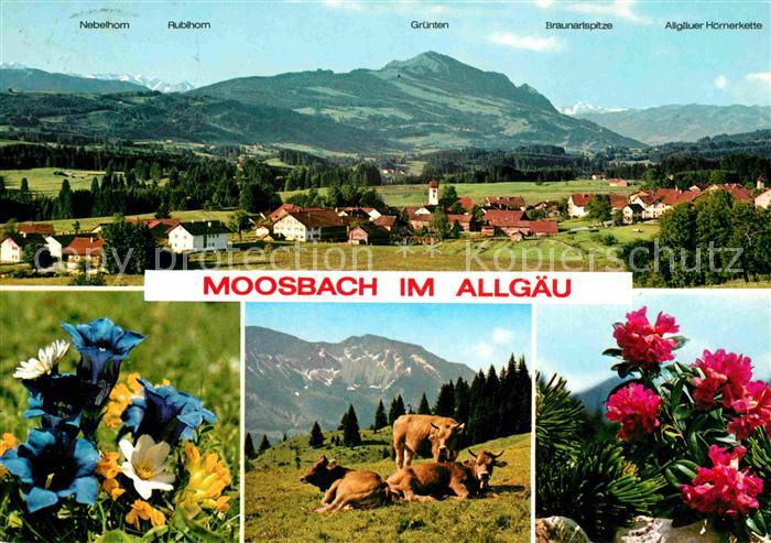 Moosbach Sulzberg Gesamtansicht mit Alpenpanorama Allgaeuer Alpen Blauer Enzian