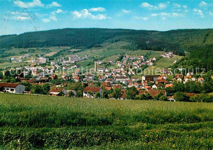 Bad Soden-Salmuenster Panorama Kurort im Kinzigtal
