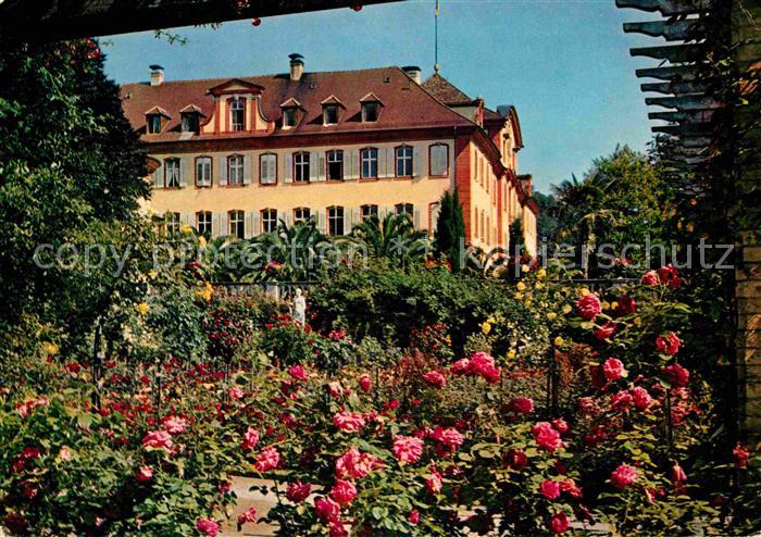 Insel Mainau Rosengarten Palmen Schloss