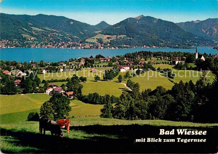 Bad Wiessee Panorama