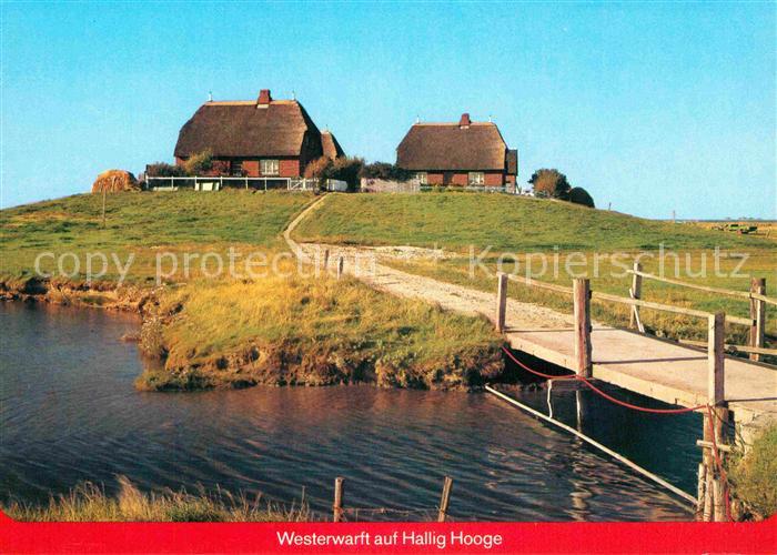Hallig Hooge Westerwarft