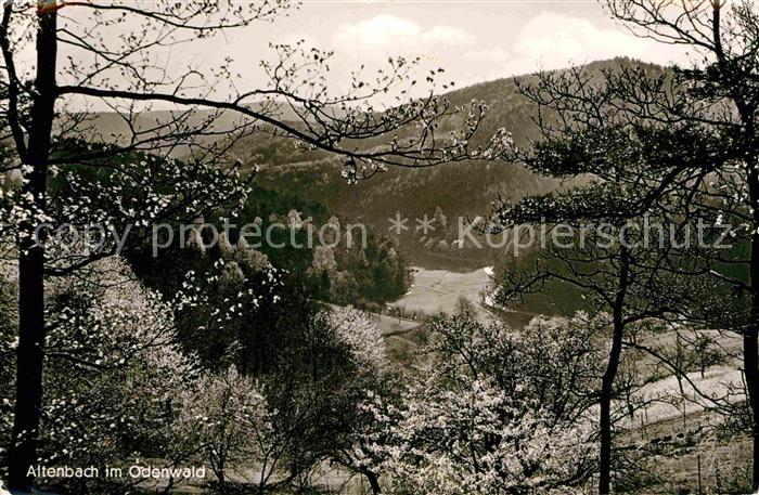 Altenbach Baden Restaurant Cafe Pension Ella