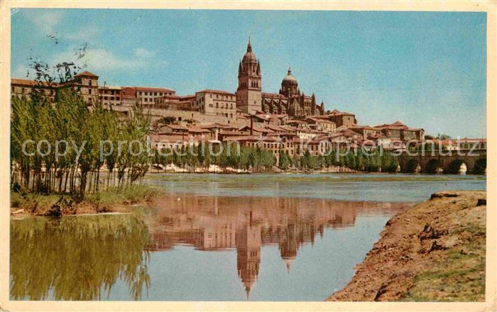Salamanca Castilla y Leon Partie am Fluss
