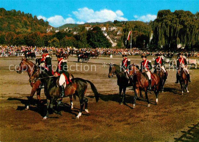 Dillenburg Hessisches Landsgestuet Pferde