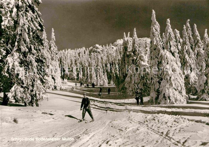 Bodenmais Skigebiet Bodenmaiser Mulde